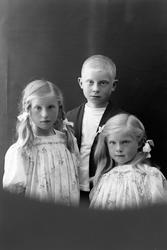 Studioportrett i halvfigur av to jenter og én gutt.