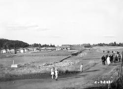 Borregaard-samlingen