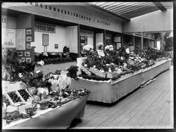 Østfoldutstillingen. Utstillingshall, interiør, utstililng a