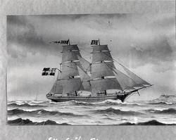 Avfotografert skipsportrett av brigg "Adonis".