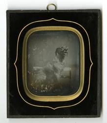 Ambrotype av hund på to lenestoler fotografert på Berg gård,