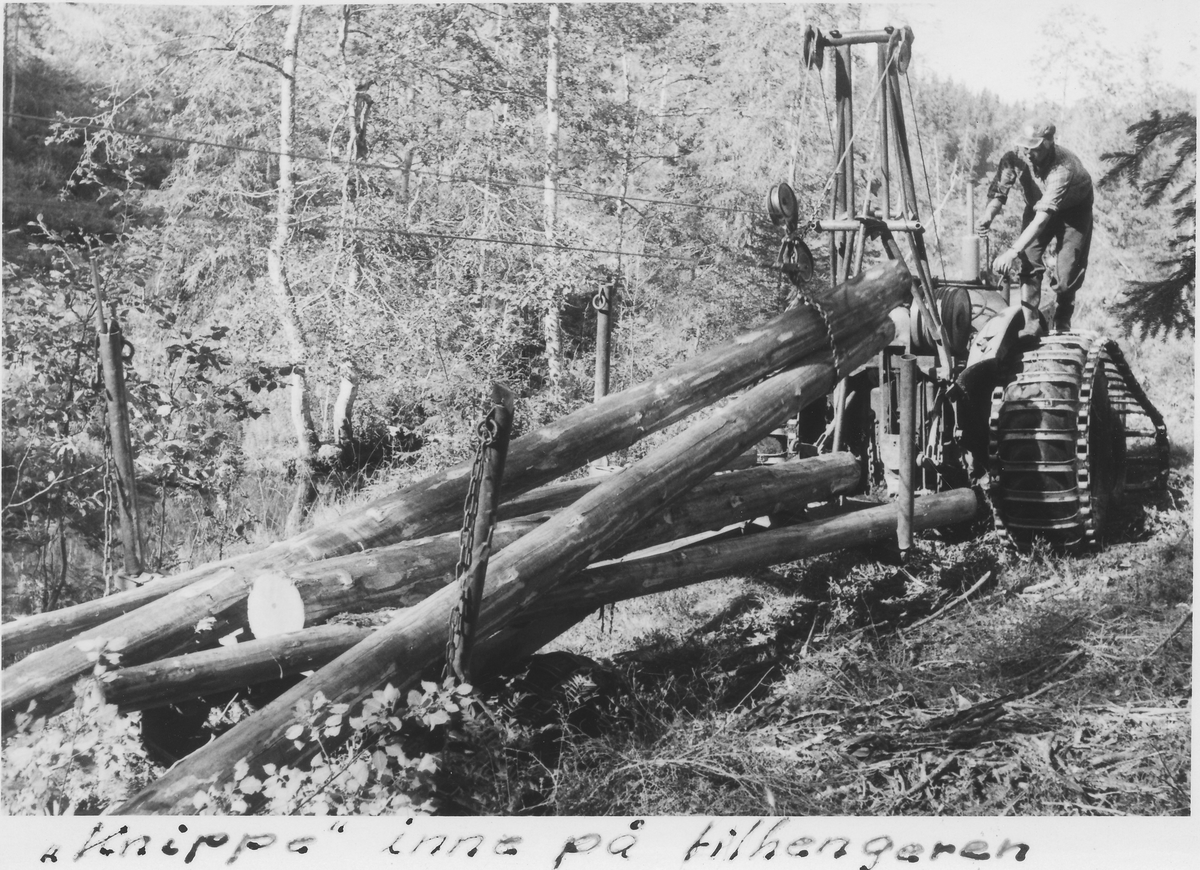 Tømmerknippe dras inn på traktortilhenger, 1965  