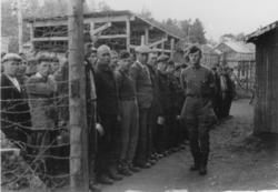 Mai-juni 1945. Fra krigfangeleiren i Namsos.