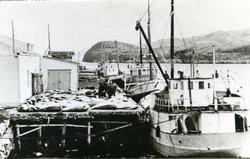 Rørvik, Størjefangst