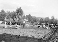 Skolehagen med Sveberg. Skolebarn. Skjellerud.