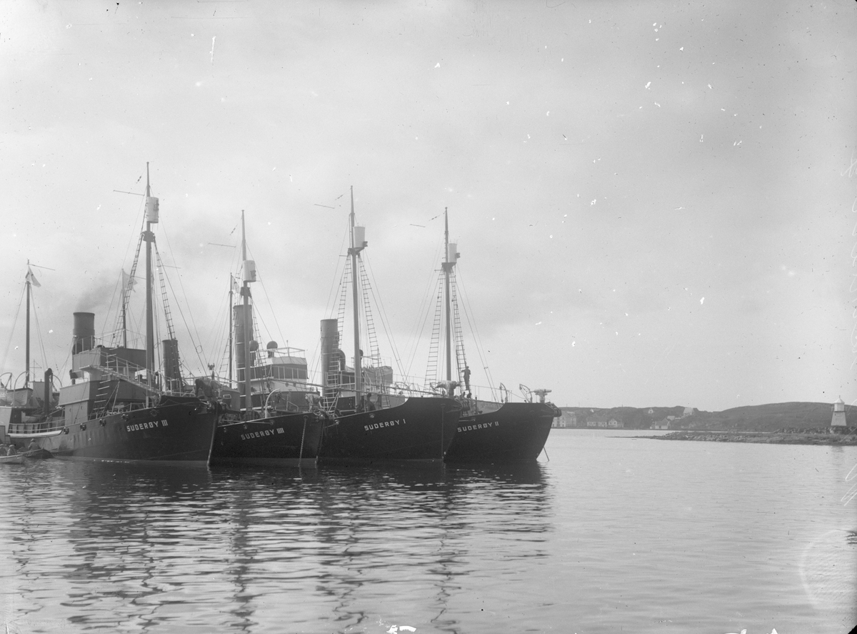 Hvalbåtene D/S "Suderøy I", "Suderøy II", "Suderøy III" og "Suderøy IIII" fortøyd intill hverandre. Båtene kan knyttes til det flytende hvalkokeriet D/S"Balto", tidligere "Suderøy".