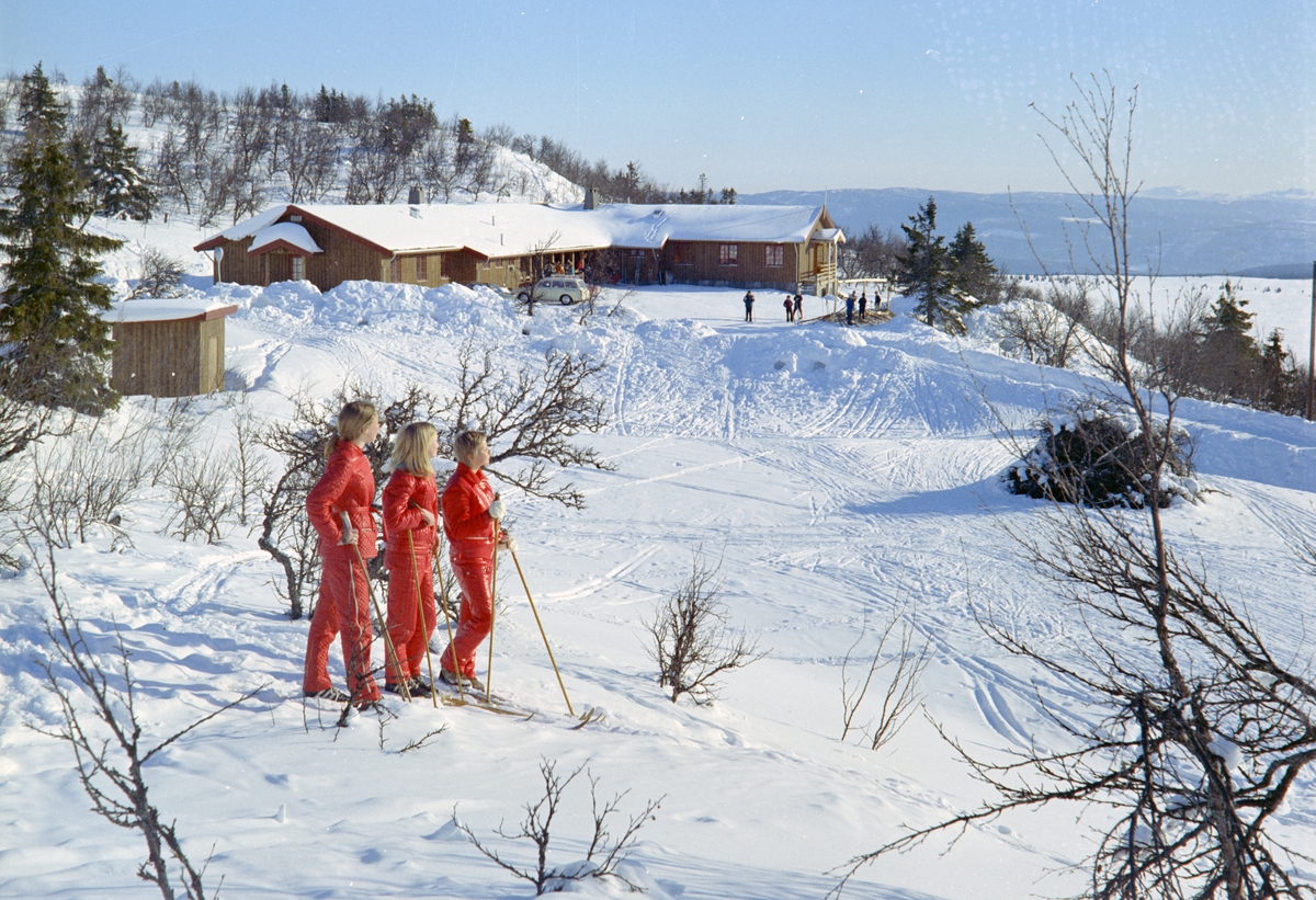 Nordisk Fjellskole.
Ringebu Fjellskole, Ringebufjellet, vinter, skiløpere.