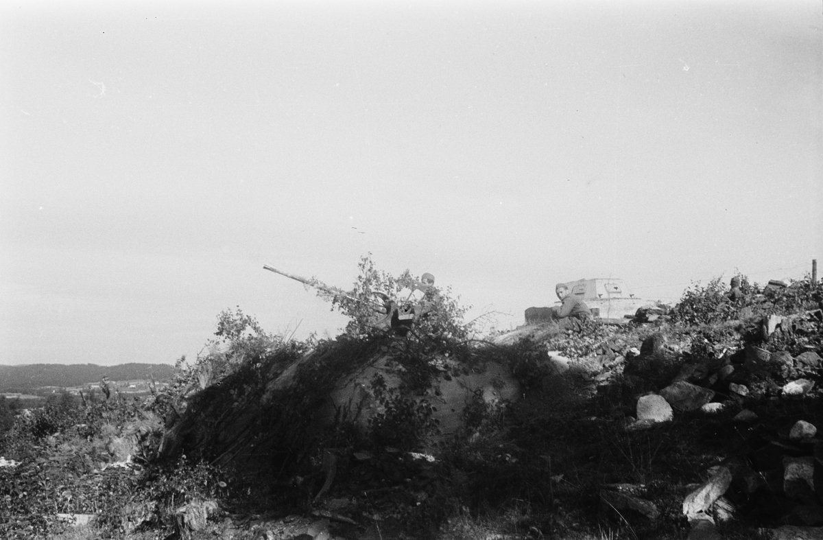 Militærøvelse.
Tysk 20 mm luftvernkanon type FLAK 38.
