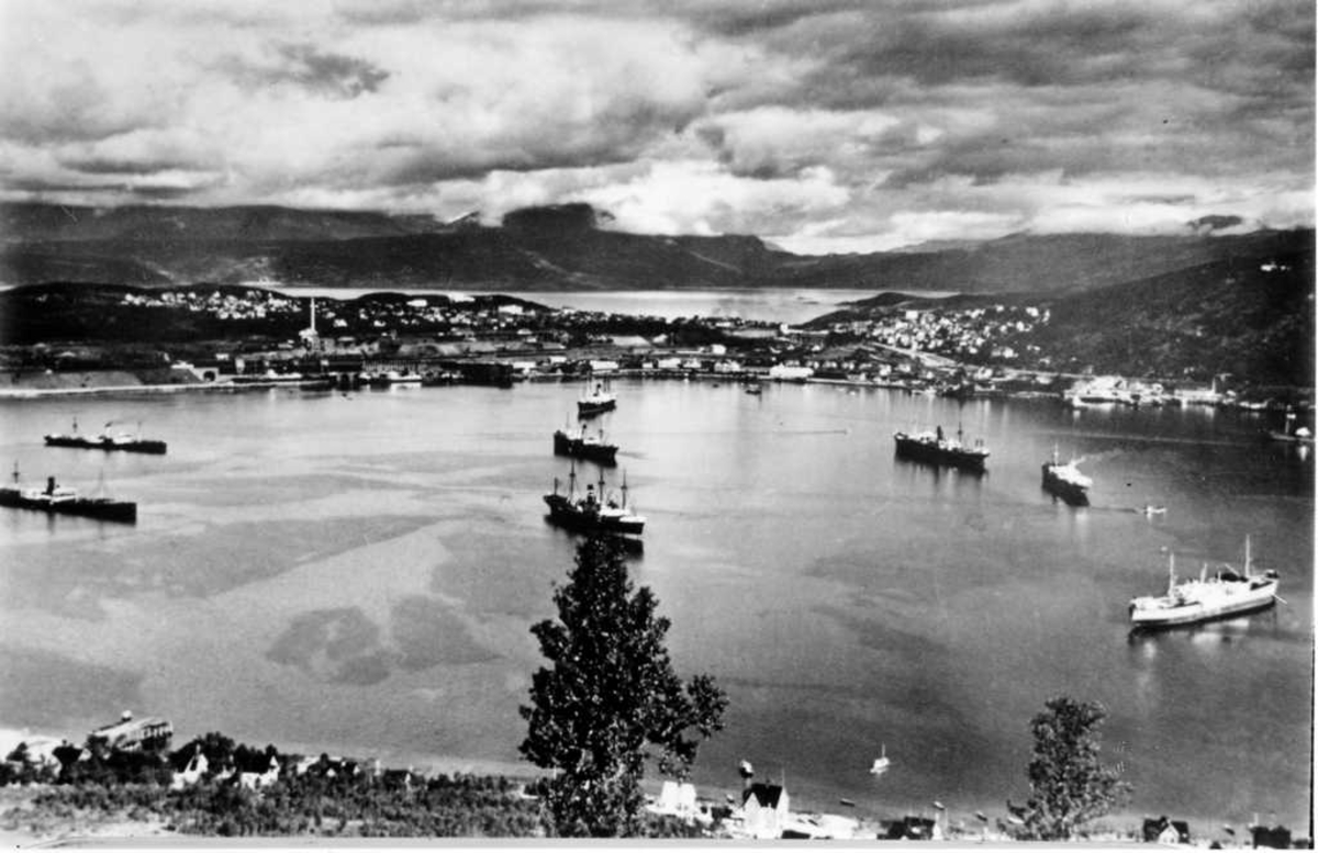 Narvik havn med malmbåter.
Fotografert fra Ankenesfjellet.