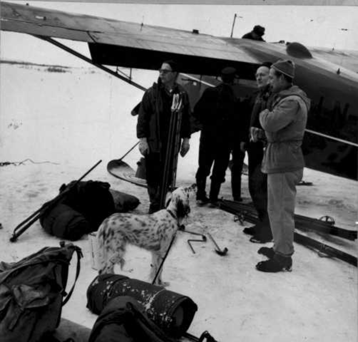 Ett fly på bakken med skiunderstell, C-5 Polar. Flere personer, utstyr og en hund ved flyet.