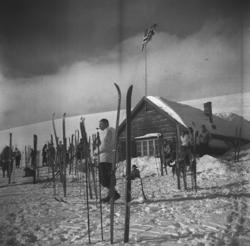 Vinikka skihytte fotografert en solig vårdag i 1946.  Flere 