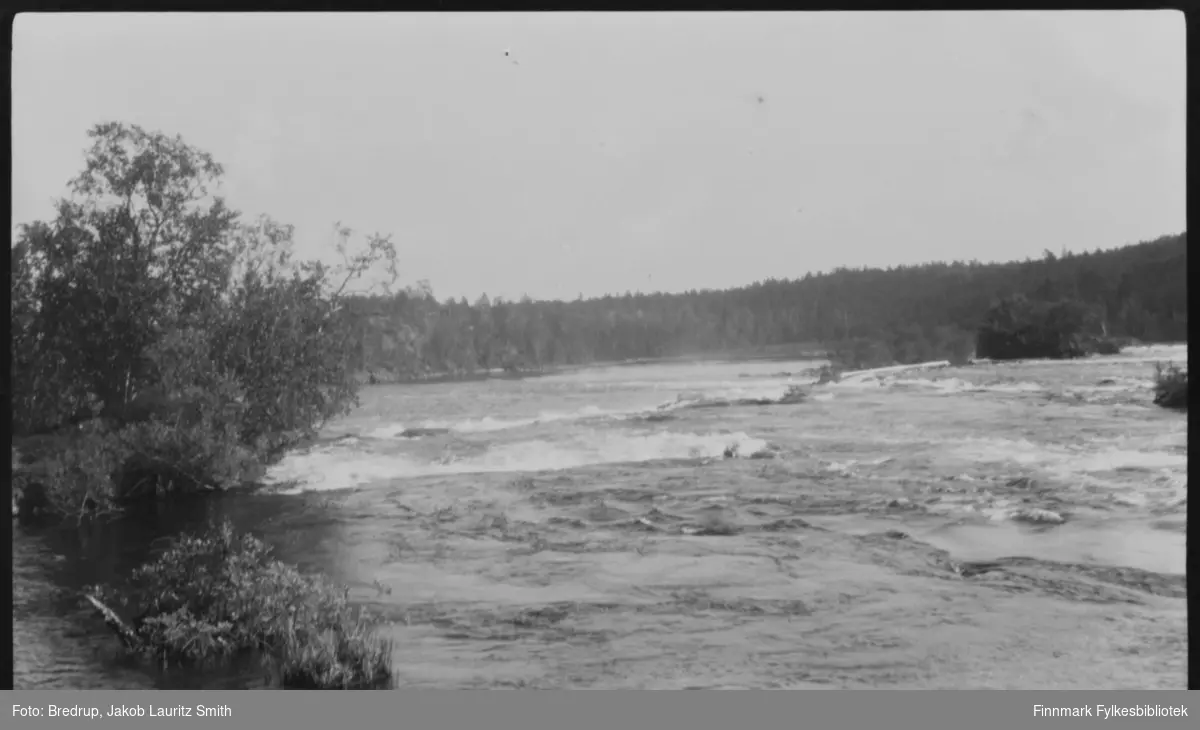 Bildet er fotografert mot et stryk i en stor elv.  Sannsynligvis er bildet tatt i Pasvik.  Furuskog og bjørkeskog langs elvebreddene, og noe som ser ut som en vier nærmest kamera.  Et par øyer ute i elva.