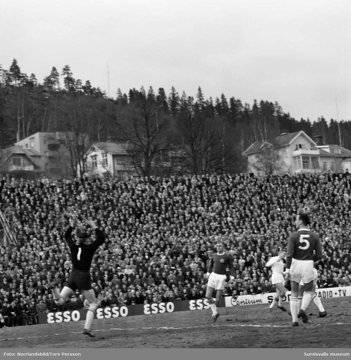 Allsvensk fotboll i IP, GIF Sundsvall-Malmö FF 1-4.