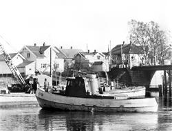 Slepebåten "Vister", eid av Fredrikstad Tømmerdireksjon. Fot
