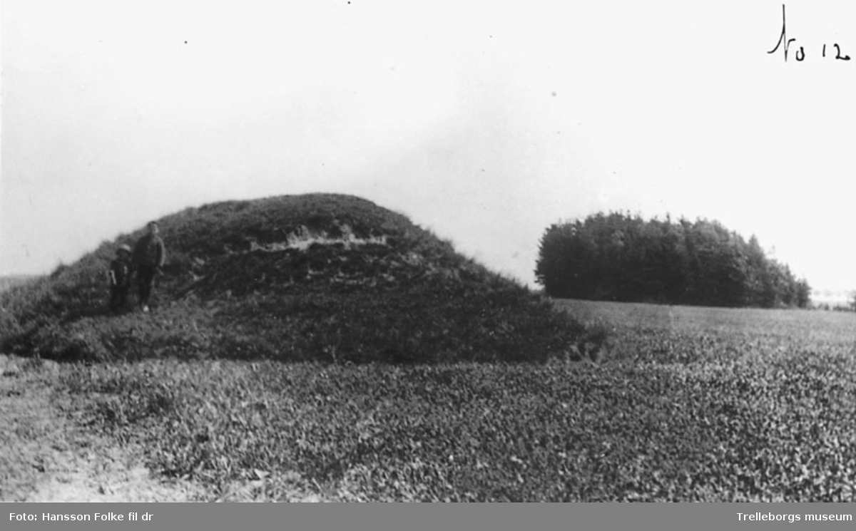 Bååthsgårdens mark, bild av Skallhög och Grönhög på lantbrukare Hans Bååths ägor nummer 12 i Västra Vemmerlövs socken. Foto mot öster.