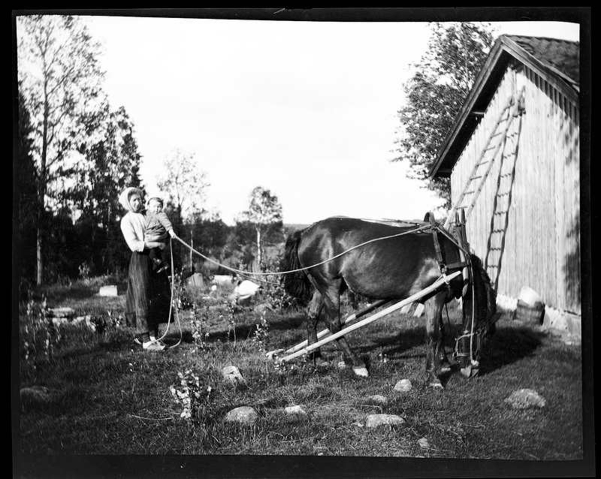 Olga, född Olsson, Forshälla 1891-05-12, med sonen Sven, Hjärtum 1915-05-14, som håller hästen som betar framför gaveln på boningshuset.