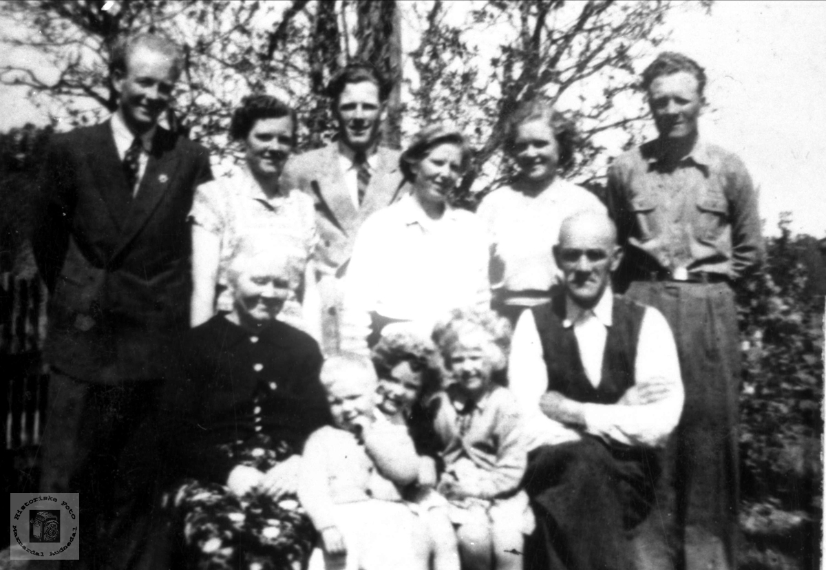 Familien Beint Usland, Høye