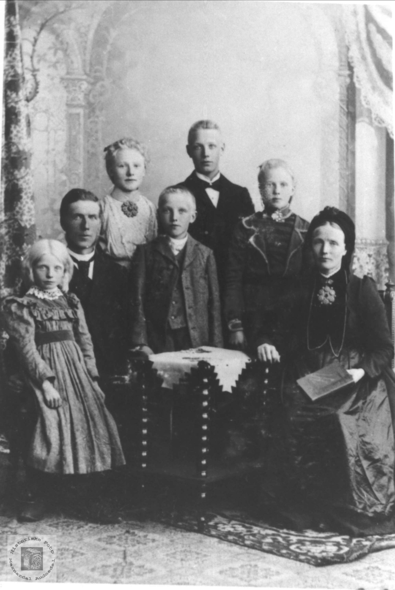 Familie fra Fyresdal (Naper familien)
