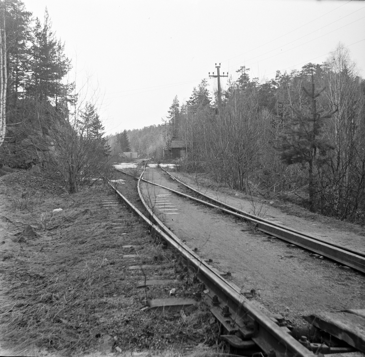 Fra nedlagt trase på Østfoldbanen ved Holmlia. Banen ble lagt om via Hauketo i 1925 i forbindelse med at Ljansviadukten ble tatt ut av bruk, men deler av den gamle traseen ble beholdt som sidespor.