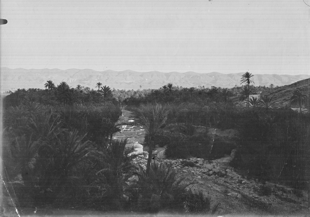 Oasen El katara, Algeriet, April 1910