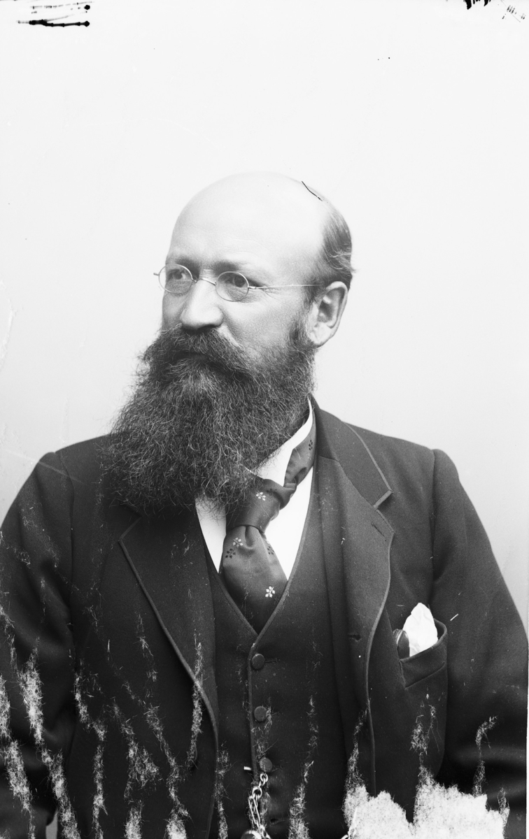 Axel Wilhelm Eriksson, född 24 augusti 1846, död 5 maj 1901.