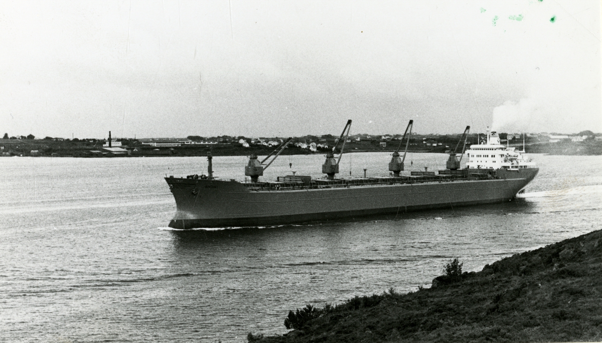 M/S Andwi (b.1969, Haugesund mek. Verksted A/S, Haugesund). Rederi