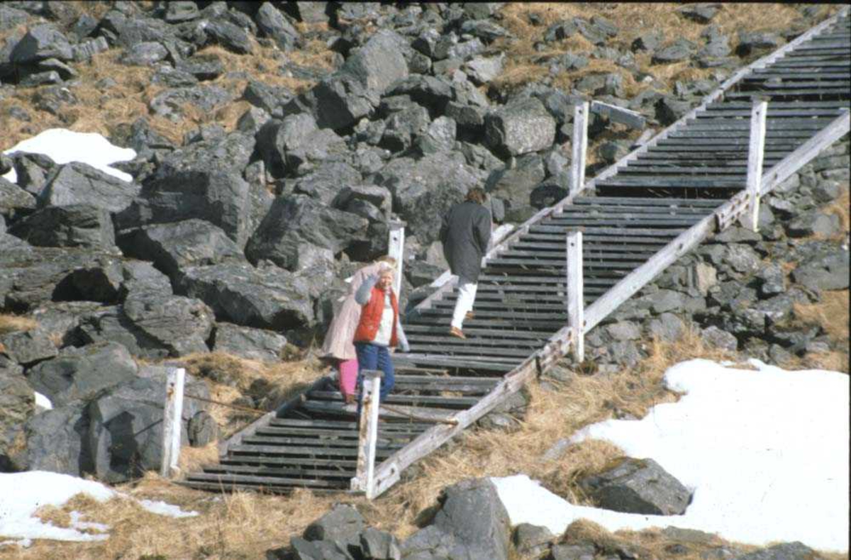 Landskap. Nordkapp. Denne trapp fører opp til Nordkapp-platået.