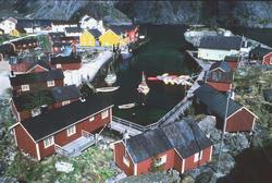 Luftfoto. Nusfjord. Parti fra havna omkranset av rorbuer og 