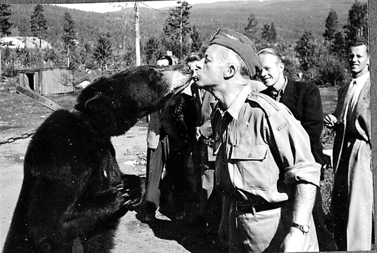 Gruppeportrett, flere personer, i forgrunnen en militær i militæruniform som "snuser" på en levende bjørn.