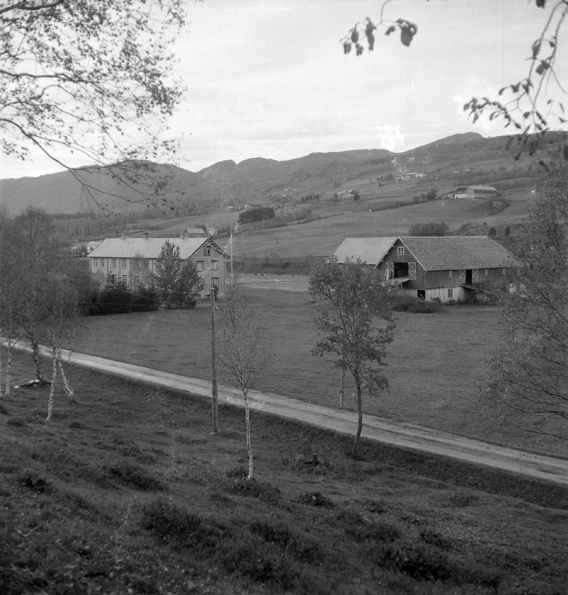 Ingebrigt Holtes gård i Rindalsskogen