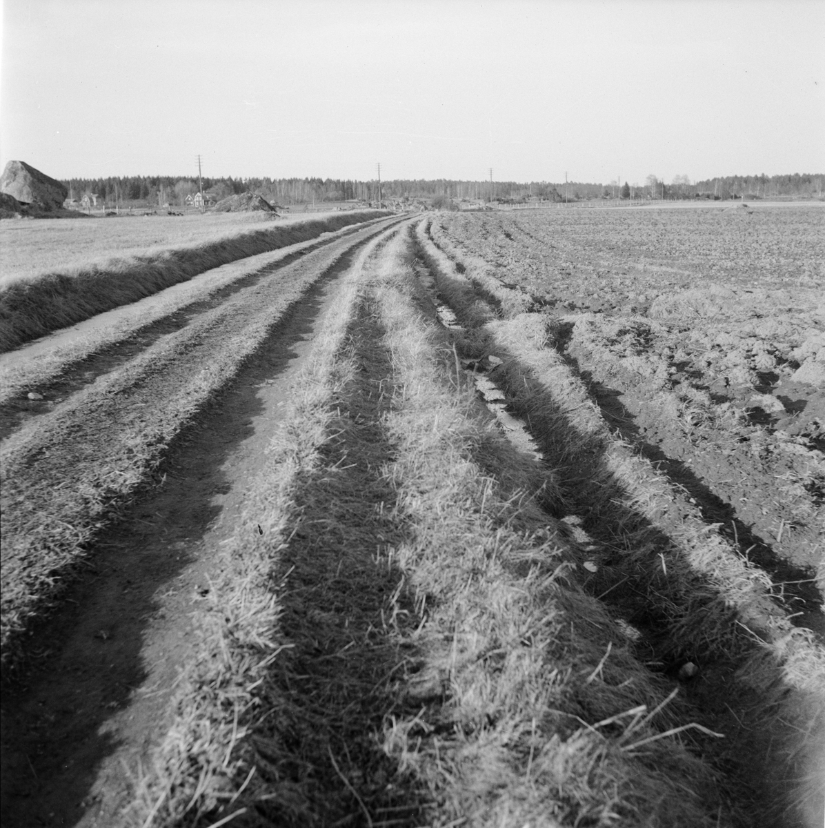 "Påskpromenaden", odlingslandskap, sannolikt Fittja socken, Uppland 1948