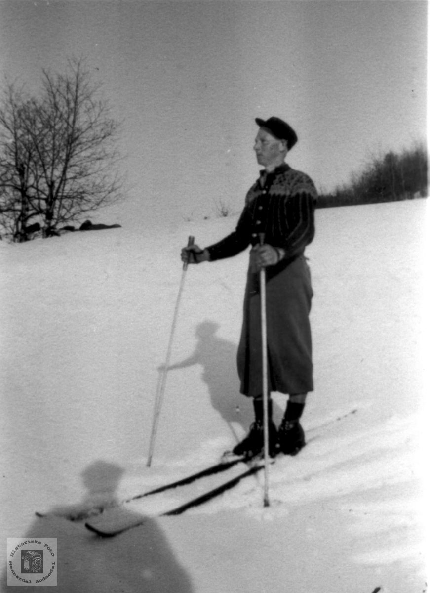 Solskinsdag på ski. Fridtjof Tjomsland.