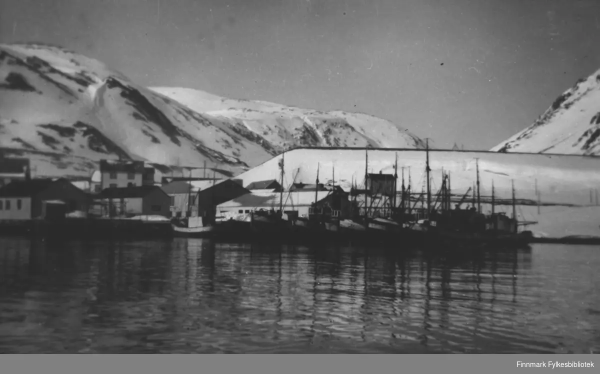 Et bilde fra Tyfjord hamn. Flere båter ligg ved kai hos Warholm anlegg. Bak dem bolighus. Bildet er tatt fra sjøen.  Landskapet er dekt av snø.