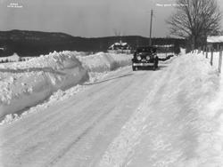 Haug gaard. Griniveien.