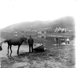 Vossevangen, hester og skysskarer ved Vangsvatnet, Fleischer