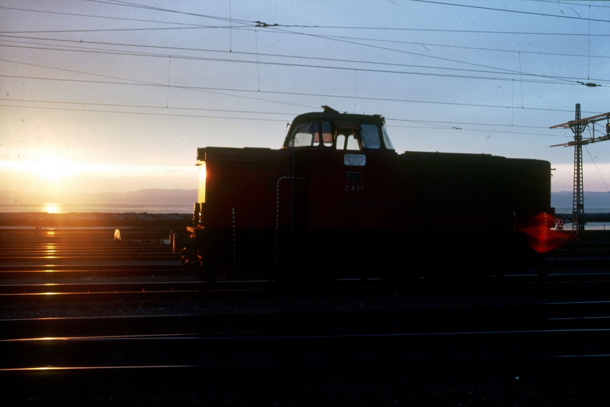 Skiftemaskin i solnedgang. NSB dieselhydraulisk lokomotiv Di 2 837 en sen sommerkveld på Trondheim stasjon.