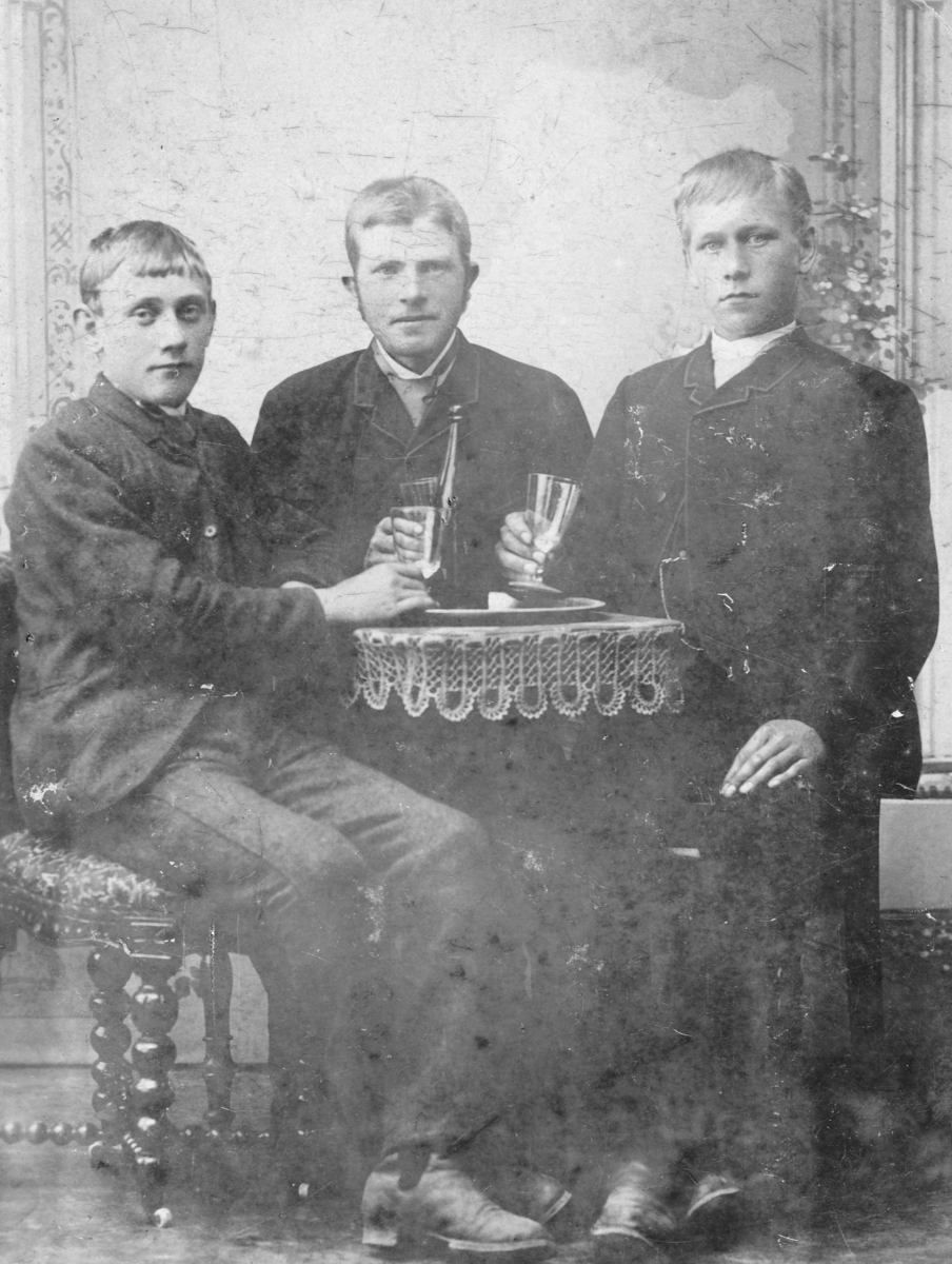 Ole Nilsen,( f. 1876),Spertangen, Bamble og Johan Ringsjø, ukjent.