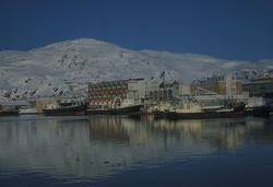 Findus i sentrum av Hammerfest en vinterdag med blikkstille 