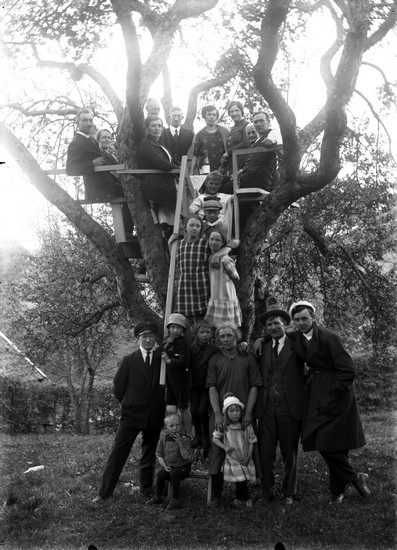 En grupp människor samlade kring och i ett träd, flera av dem släktingar till fotografen Oscar Färdig
