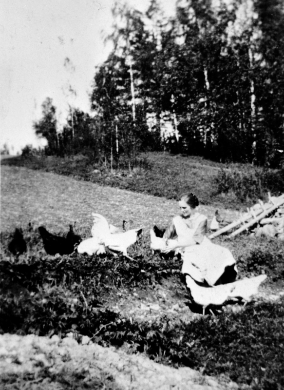 Alvhild Sandbæk steller med høner på Raknerud nordre, Helgøya.