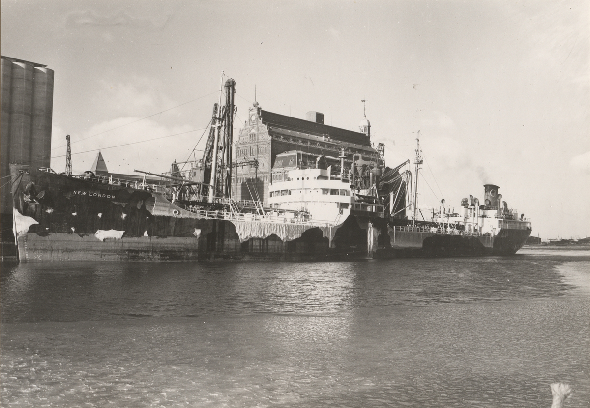 Tank-turbinångfartyget "NEW LONDON". Foto från Köpenhamn år 1956.