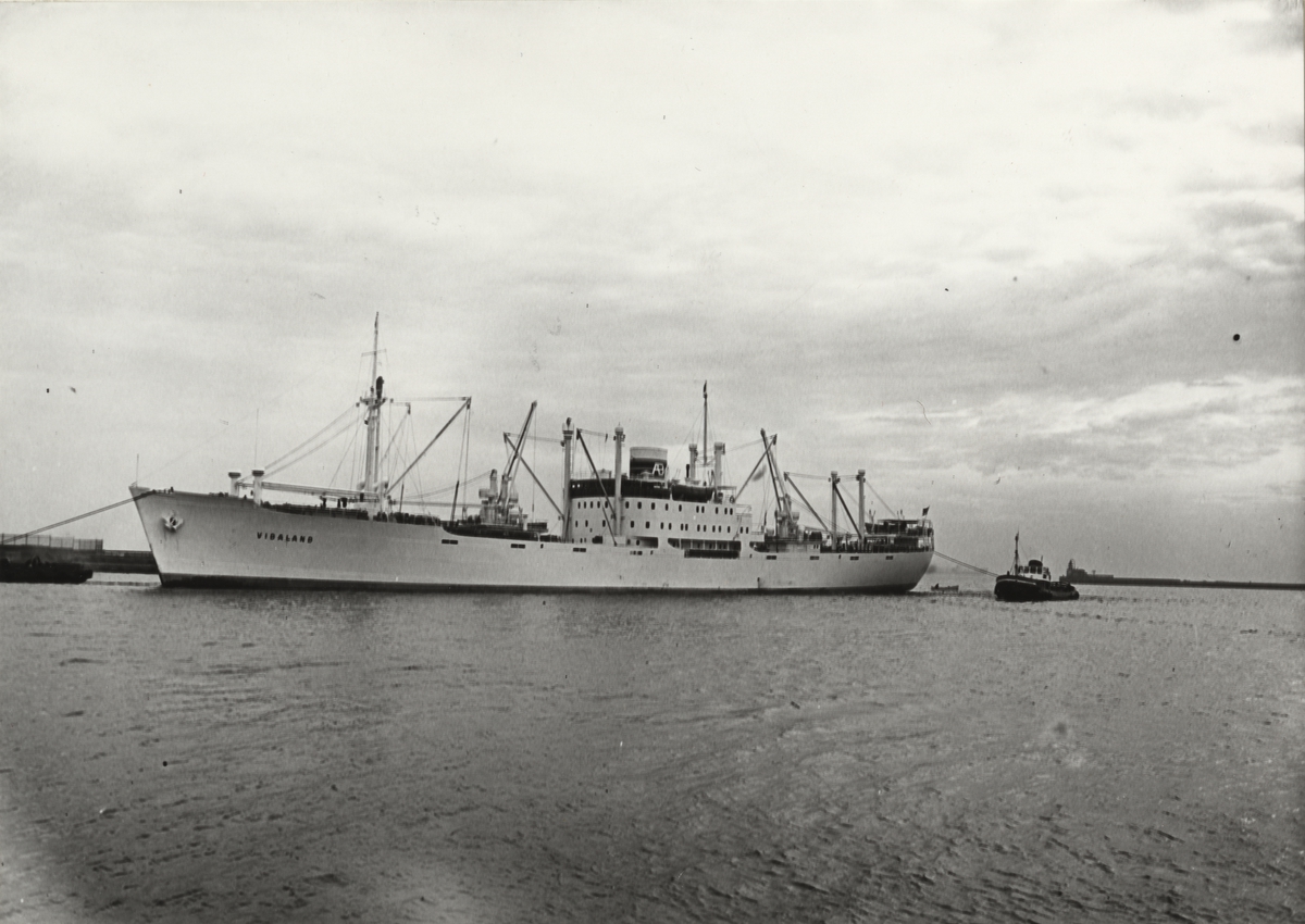 Foto i svartvitt visande lastmotorfartyget "VIDALAND" i Köpenhamn under år 1955.