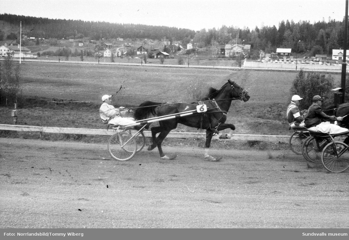 Bilder från en tävlingsdag på Bergsåkers travbana i maj 1960.