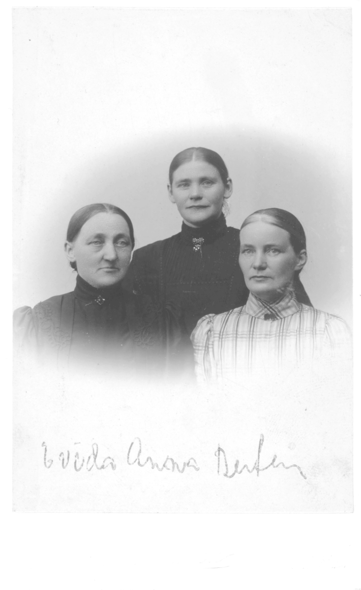 Halvfigur portrett av tre e kvinner. På bildet står det notert "Evida, Anna, Berten". Evida kan være Evida Persen, født 1863 og gift med handelsmand Weksel Persen.