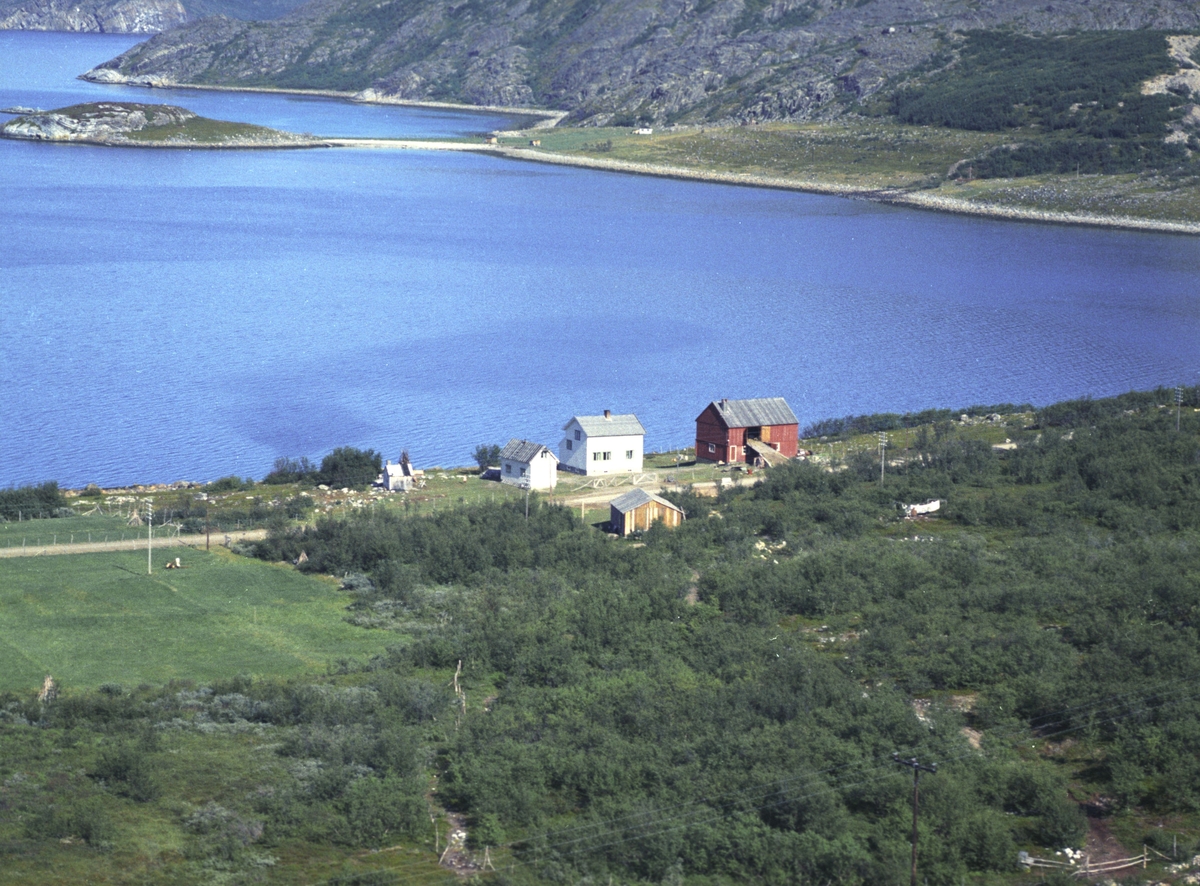 Flyfoto fra Friarfjord. Negativ nr. 122678. Kunden var Fritjof Jullum i Friarfjord.     Fargekopi finnes i arkivet.