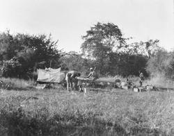 Teltleir i Tanganyika Territory. Marentius Thams tar sin uke