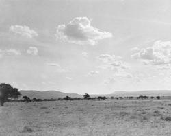 Slettelandskap, savanne i nærheten av Endangasire, grenseomr