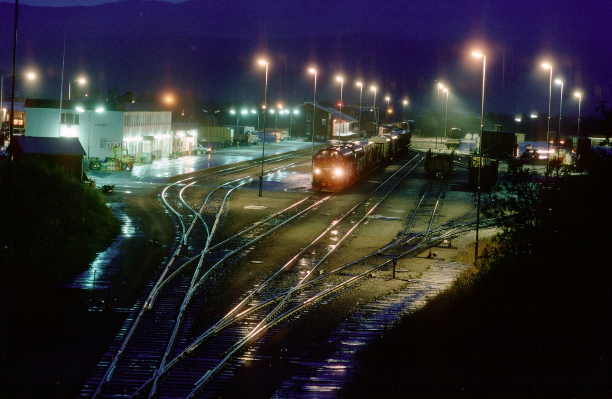 Fauske stasjon med overlangt godstog 5794 Bodø - Trondheim som venter på kryssende tog.