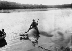 Christian Thams sitter på en død flodhest ute i en elv i Mas