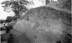 Arkeologisk utgraving av Borgs byvoll mot St. Mariegate i Sa